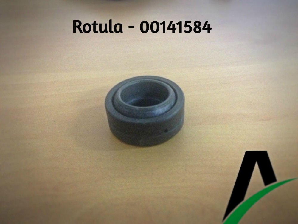 Rotula - 00141584